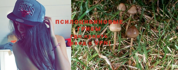 дурь Арсеньев