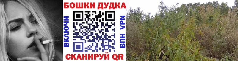 цены наркотик  Борзя  Шишки марихуана Ganja 